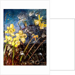 wild daffodils, 2018 by jocasta shakespeare