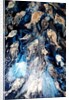 fish spawning, 2018 by jocasta shakespeare