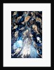 fish spawning, 2018 by jocasta shakespeare