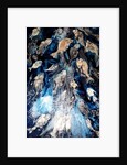 fish spawning, 2018 by jocasta shakespeare