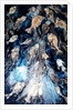 fish spawning, 2018 by jocasta shakespeare