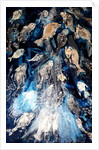 fish spawning, 2018 by jocasta shakespeare