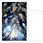 fish spawning, 2018 by jocasta shakespeare