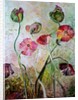 Poppies, 2019 by jocasta shakespeare