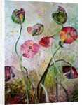 Poppies, 2019 by jocasta shakespeare