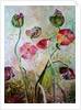 Poppies, 2019 by jocasta shakespeare