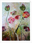 Poppies, 2019 by jocasta shakespeare