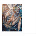 Dive, 2019 by jocasta shakespeare