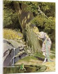 The Frog King or Iron Henry by Paul Hey
