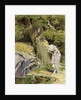 The Frog King or Iron Henry by Paul Hey