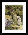 The Frog King or Iron Henry by Paul Hey