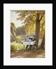 The table, the donkey and the stick by Paul Hey