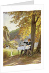 The table, the donkey and the stick by Paul Hey