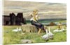 The Goose Girl by Paul Hey