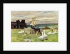 The Goose Girl by Paul Hey