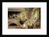 Cinderella by Paul Hey