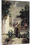 The Cactus Lover, before 1858 by Carl Spitzweg
