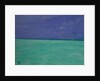 Play, 2017 by Angus Hampel