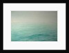 Distant breath of a wing, 2017 by Angus Hampel