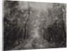 Hallelujah II, 2017 by Angus Hampel