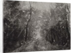 Hallelujah II, 2017 by Angus Hampel