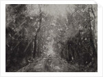 Hallelujah II, 2017 by Angus Hampel