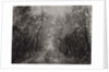 Hallelujah II, 2017 by Angus Hampel