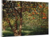 Silence under the oranges II, 2012 by Angus Hampel