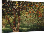 Silence under the oranges II, 2012 by Angus Hampel