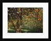 Silence under the oranges II, 2012 by Angus Hampel