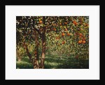 Silence under the oranges II, 2012 by Angus Hampel