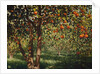 Silence under the oranges II, 2012 by Angus Hampel