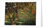 Silence under the oranges II, 2012 by Angus Hampel