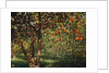 Silence under the oranges II, 2012 by Angus Hampel