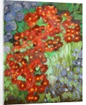 Cornish flowers, 2014 by Cosima Duggal