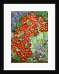 Cornish flowers, 2014 by Cosima Duggal