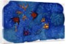 Fish, 1999 by Alexandra Cowan
