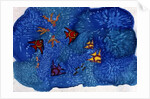 Fish, 1999 by Alexandra Cowan