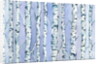 Silverbirch Forest, 2018 by Elizabeth Rider