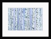 Silverbirch Forest, 2018 by Elizabeth Rider