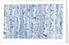 Silverbirch Forest, 2018 by Elizabeth Rider