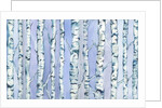 Silverbirch Forest, 2018 by Elizabeth Rider