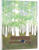 Bench in the Forest, 2017 by Elizabeth Rider