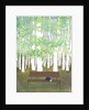 Bench in the Forest, 2017 by Elizabeth Rider
