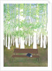 Bench in the Forest, 2017 by Elizabeth Rider