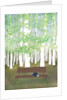 Bench in the Forest, 2017 by Elizabeth Rider