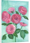 Pink Roses, 2017 by Elizabeth Rider