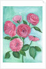 Pink Roses, 2017 by Elizabeth Rider