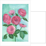 Pink Roses, 2017 by Elizabeth Rider