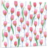 Pink Tulips, 2017 by Elizabeth Rider